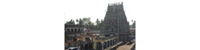 232. திருப்பாதிரிப் புலியூர்